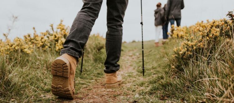 A group of people walking along a hiking trail.
