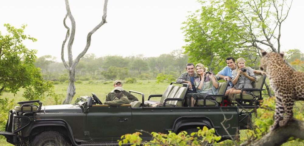 A group of tourists on safari taking a photo of a leopard.