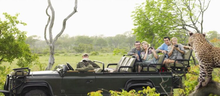 A group of tourists on safari taking a photo of a leopard.
